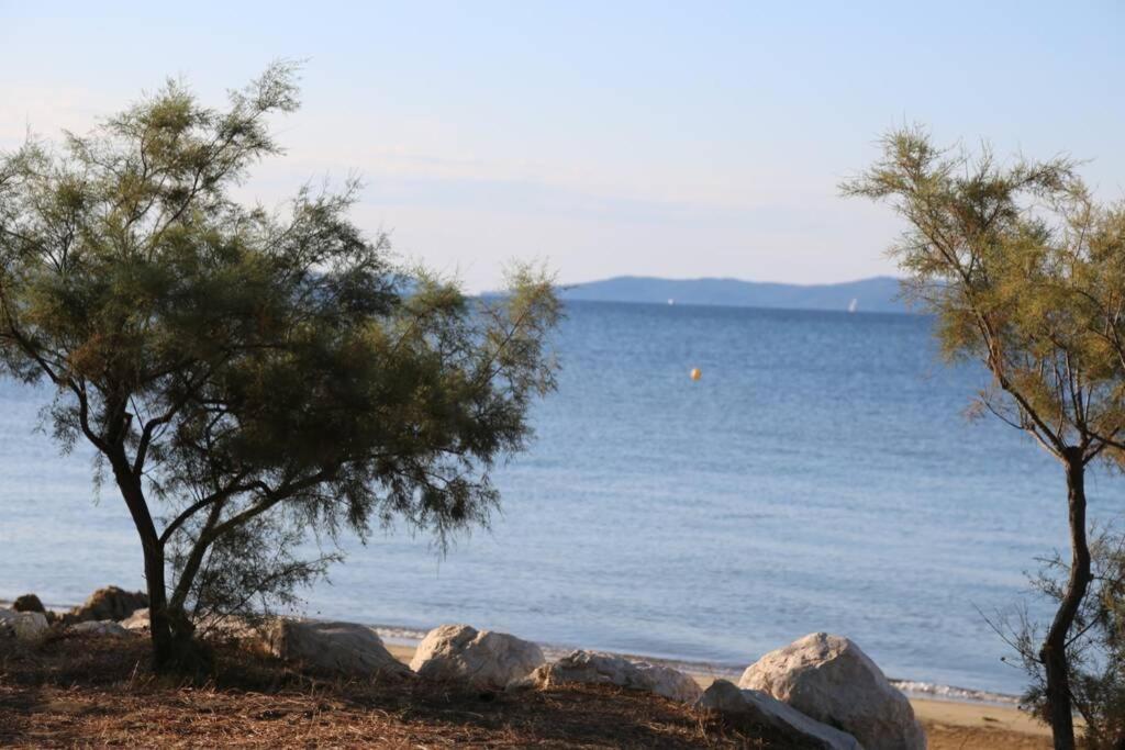 Suite 1 Chambre, 1 Sejour, Climatise, Piscines, 400M De La Mer La Londe-les-Maures Exterior photo